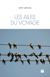 Les ailes du voyage