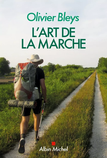 L'Art de la marche - Olivier Bleys - Albin Michel