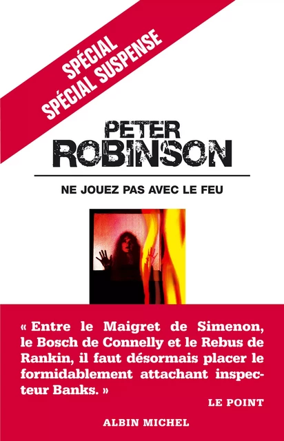 Ne jouez pas avec le feu - Peter Robinson - Albin Michel