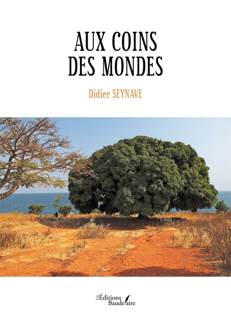 Aux coins des mondes - Didier Seynave - Éditions Baudelaire