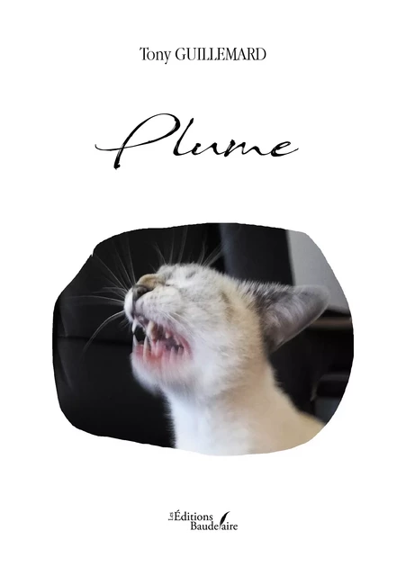 Plume - Tony Guillemard - Éditions Baudelaire