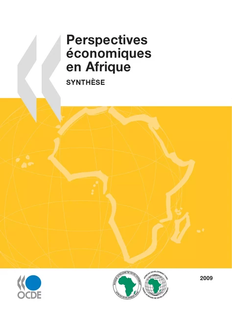 Perspectives économiques en Afrique 2009 -  Collectif - OECD