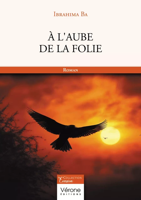 A l'aube de la folie - Ba Ibrahima - Editions Vérone