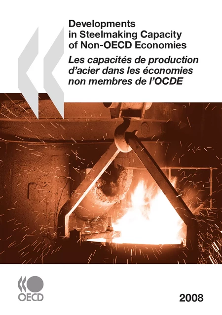 Les capacités de production d'acier dans les économies non membres de l'OCDE 2008 -  Collective - OECD