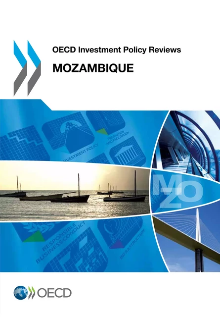 OECD Investment Policy Reviews: Mozambique 2013 -  Collective - OECD