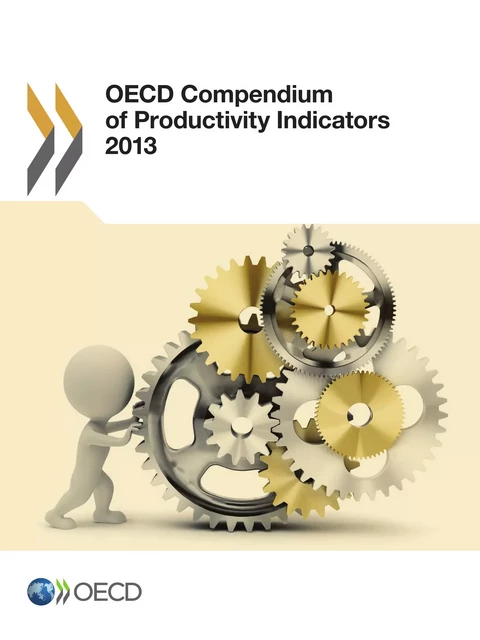 OECD Compendium of Productivity Indicators 2013 -  Collective - OECD