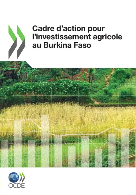 Cadre d'action pour l'investissement agricole au Burkina Faso -  Collectif - OECD