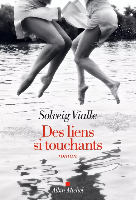 Des liens si touchants - Solveig Vialle - Albin Michel