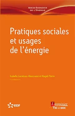 Pratiques sociales et usages de l'énergie - Isabelle Garabuau-Moussaoui, Magali Pierre - Tec & Doc