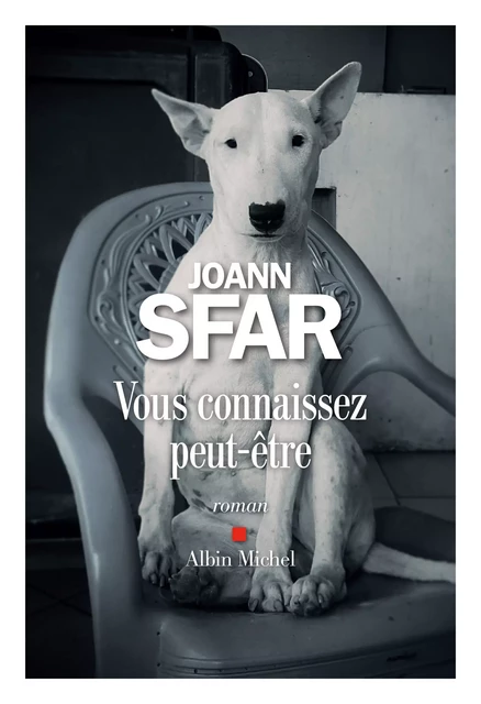 Vous connaissez peut-être - Joann Sfar - Albin Michel