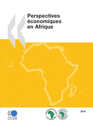 Perspectives économiques en Afrique 2010