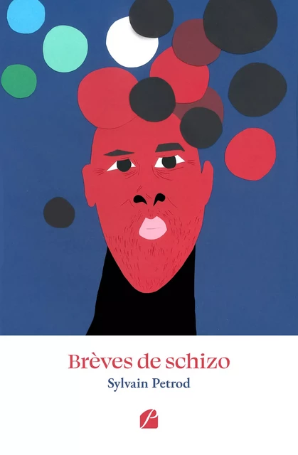 Brèves de schizo - Sylvain Petrod - Editions du Panthéon