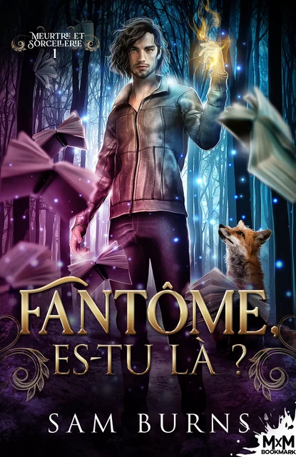 Fantôme, es-tu là ? - Sam Burns - MxM Bookmark