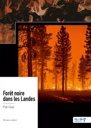 Forêt noire dans les Landes