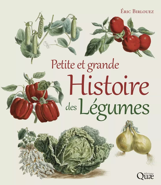 Petite et grande histoire des légumes - Éric Birlouez - Quae