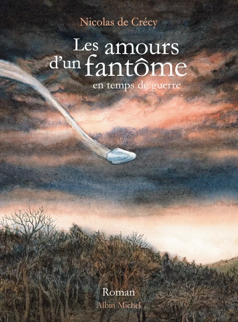 Les Amours d'un fantôme en temps de guerre - Nicolas de Crécy - Albin Michel