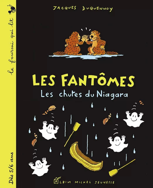 Les Chutes du Niagara. Les Fantômes - Jacques Duquennoy - Albin Michel