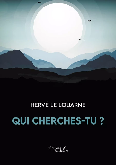 Qui cherches-tu ? - le Louarne Hervé - Éditions Baudelaire