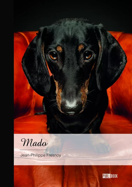 Mado - Jean-Philippe Fresnoy - Publibook