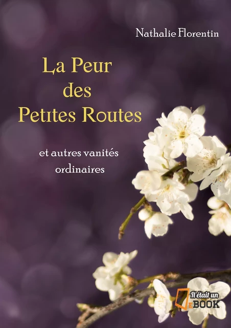 La peur des petites routes - Nathalie Florentin - Il était un ebook - Il était un bouquin 