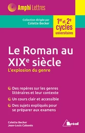 Le roman au XIXe siècle : L'explosion du genre