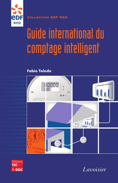 Guide international du comptage intelligent - Fabio Toledo - Tec & Doc