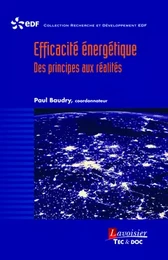 Efficacité énergétique. Des principes aux réalités