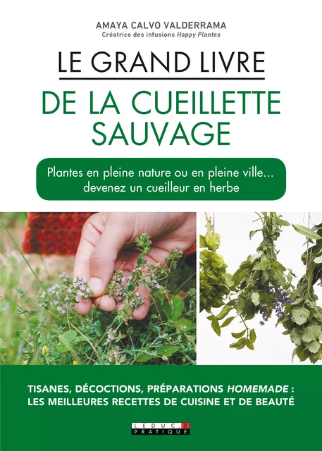 Le Grand Livre de la cueillette sauvage - Amaya Calvo Valderrama - Éditions Leduc