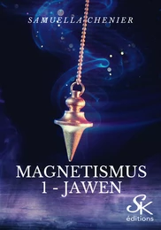 Magnetismus 1