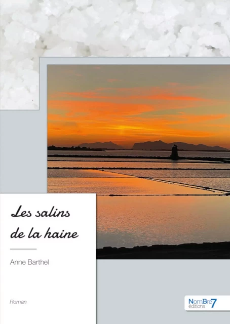 Les salins de la haine - Anne Barthel - Nombre7 Editions