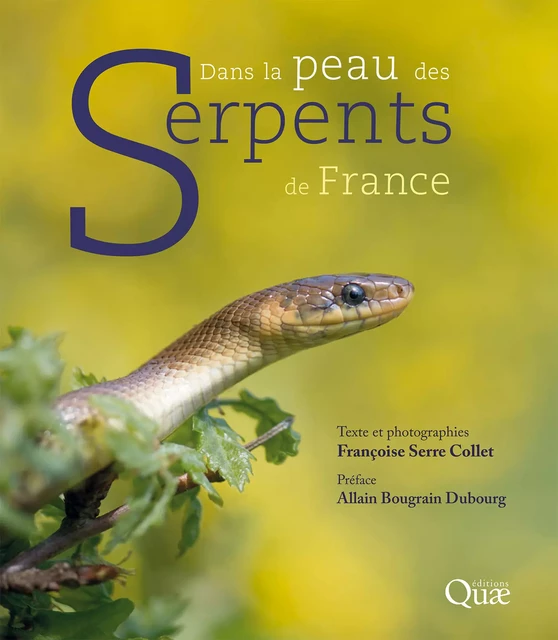 Dans la peau des serpents de France - Françoise Serre Collet, Allain Bougrain Dubourg - Quae