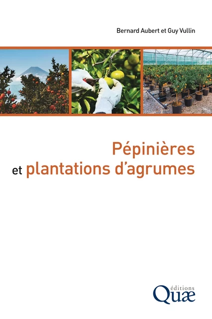 Pépinières et plantations d’agrumes - Bernard Aubert, Guy Vullin - Quae