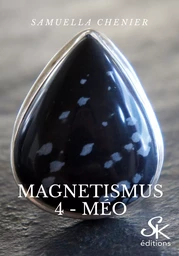 Magnetismus 4