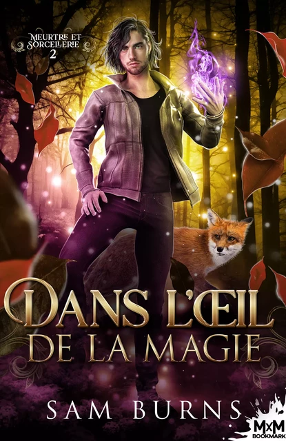 Dans l’œil de la magie - Sam Burns - MxM Bookmark