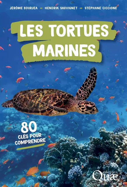 Les tortues marines - Jérôme Bourjea, Hendrik Sauvignet, Stéphane Ciccione - Quae