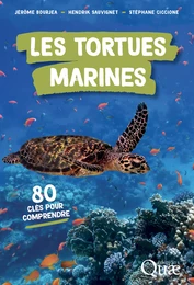 Les tortues marines