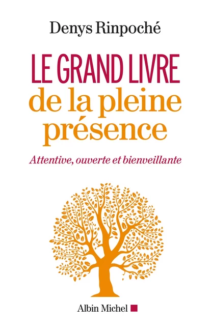 Le Grand Livre de la pleine présence - Denys Rinpoché - Albin Michel