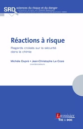 Réactions à risque - Regards croisés sur la sécurité dans la chimie