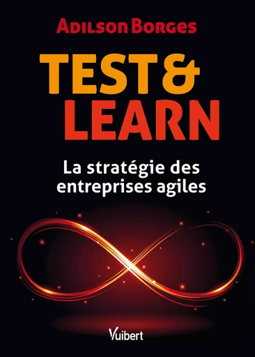 Test & Learn : La stratégie des entreprises agiles - Adilson Borges - Vuibert