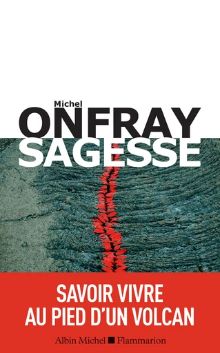 Sagesse - Michel Onfray - Albin Michel