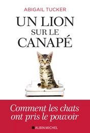 Un lion sur le canapé