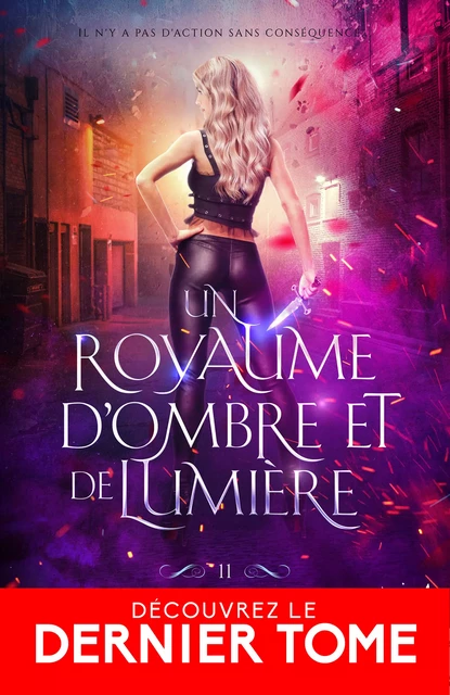 Un royaume d’ombre et de lumière - Karen Marie Moning - Collection Infinity