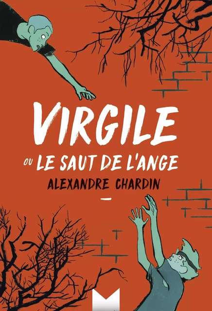 Virgile ou le saut de l’ange - Alexandre Chardin - Magnard Jeunesse