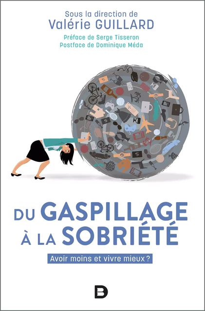 Du gaspillage à la sobriété : Avoir moins et vivre mieux ? - Valérie Guillard, Dominique Méda - De Boeck Supérieur