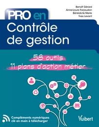 Pro en Contrôle de gestion