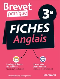 Brevet Pratique : Fiches Anglais - Examen 3e