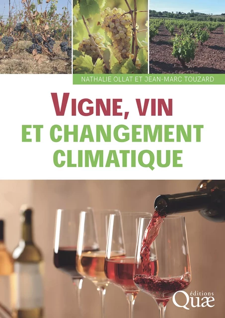 Vigne, vin et changement climatique - Nathalie Ollat, Jean-Marc Touzard - Quae