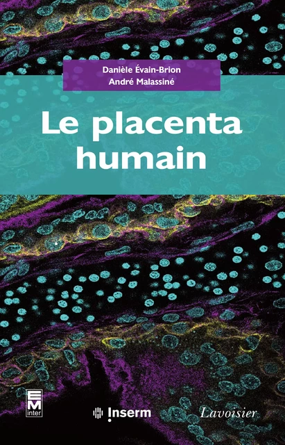 Le placenta humain -  Palmer, André Malassiné - Tec & Doc