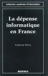 La dépense informatique en France (coll. Systèmes d'information)