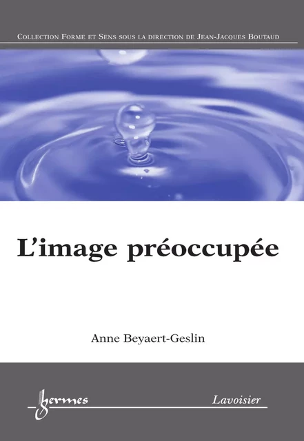 L'image préoccupée - Anne Beyaert-Geslin - Hermes Science Publications